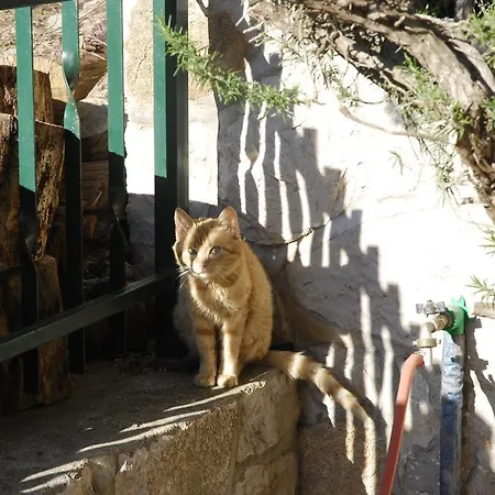 アパート Silvana