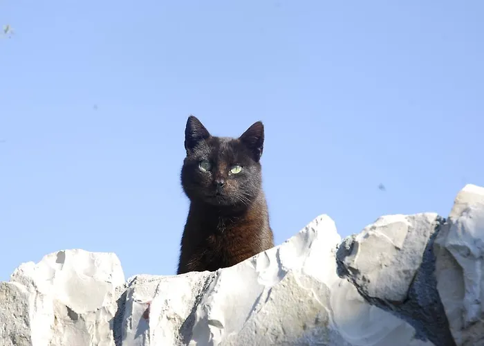 Silvana * Lastovo