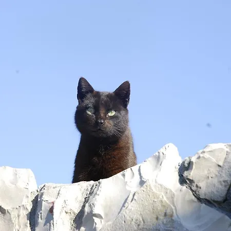 Silvana * Lastovo
